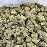 Cannabis